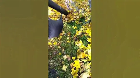 Видео для отзыва на Айрек.Пылесос-Воздуходувка электрическая STIGA SBL 2600