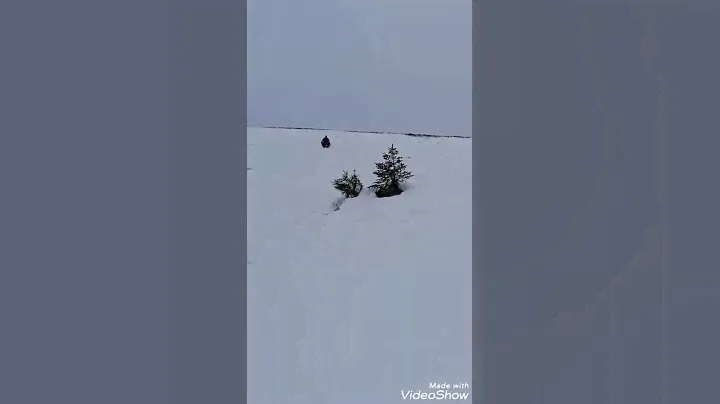 Stiga Snowracer Sx Pro  ￼